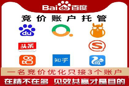网络推广竞价策略案例分析